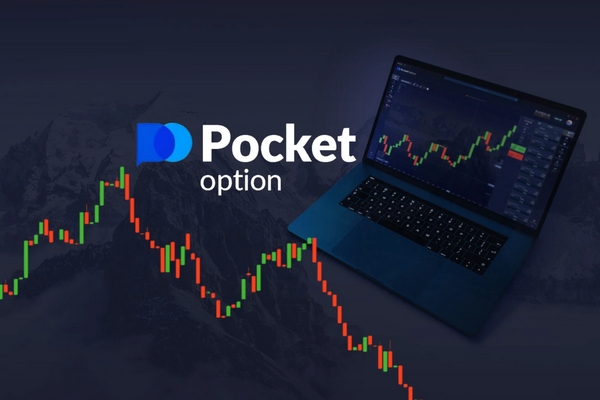 The Complete Guide to Your Account Pocket Option The Complete Guide to Your Account Pocket Option