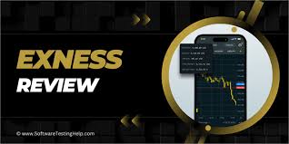 Understanding the Exness Investor Account Understanding the Exness Investor Account