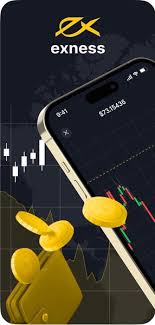 Understanding the Exness Investor Account Understanding the Exness Investor Account
