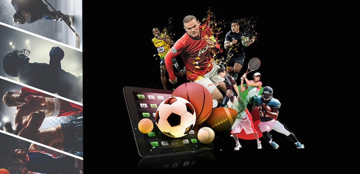 Exploring Safi Bet Your Ultimate Online Betting Destination